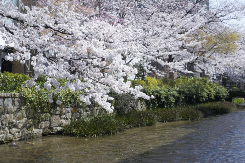 Jeugiya Villa Kyoto Bagian luar foto